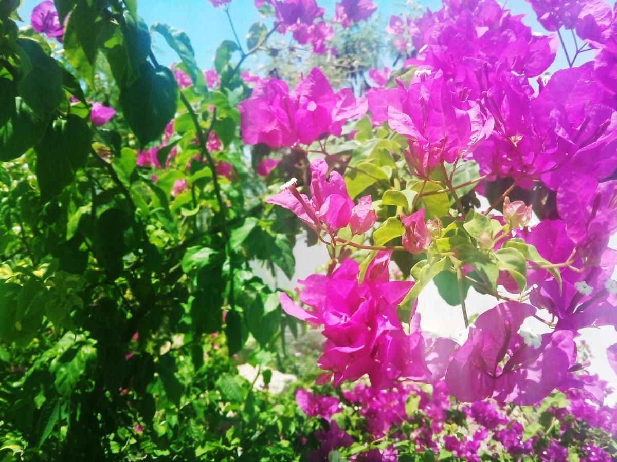 Cytyz Appart Hotel Mahajanga Buitenkant foto