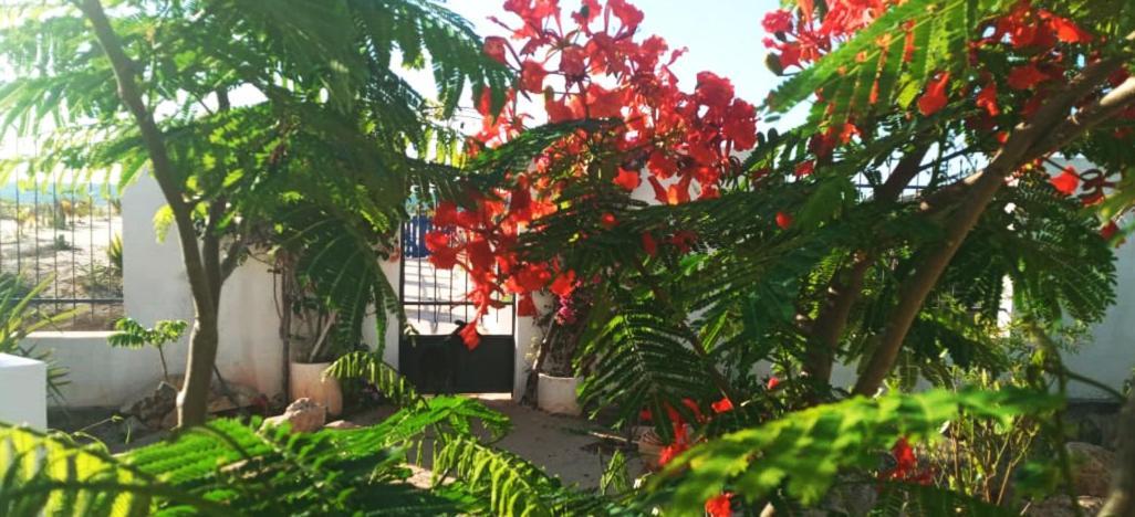 Cytyz Appart Hotel Mahajanga Buitenkant foto