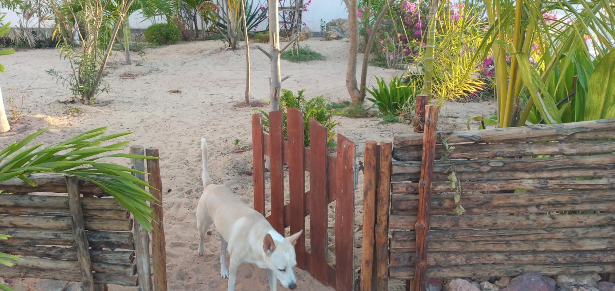 Cytyz Appart Hotel Mahajanga Buitenkant foto