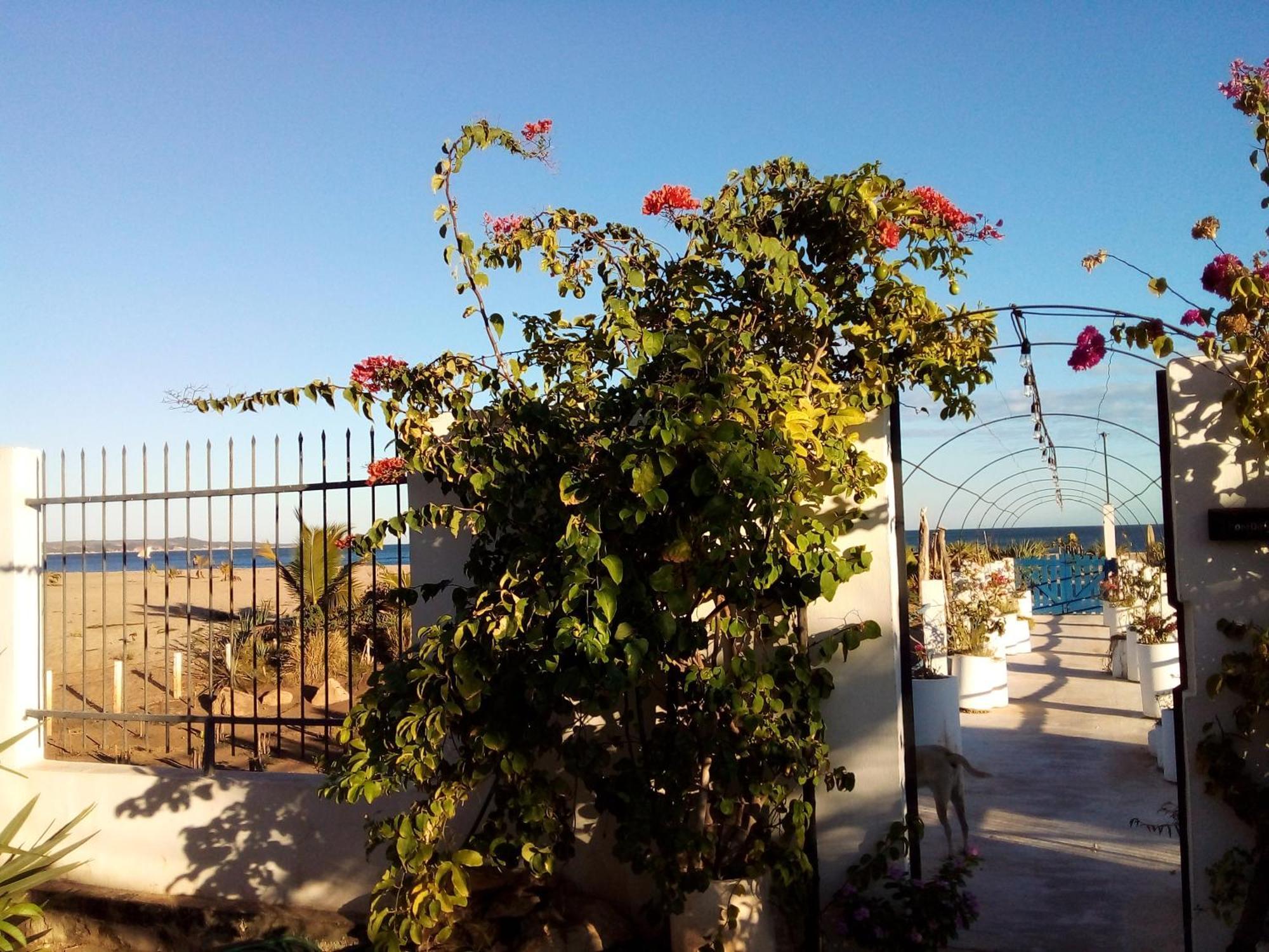 Cytyz Appart Hotel Mahajanga Buitenkant foto